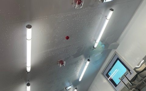 scottish seafarms harvest room
