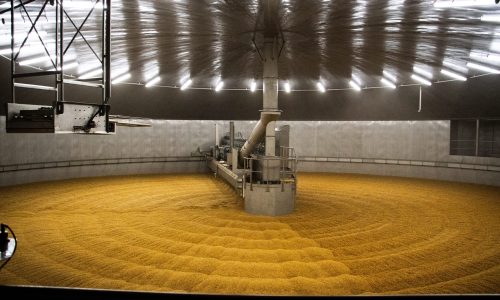 Standing the test of time and temperature at Simpsons Malt